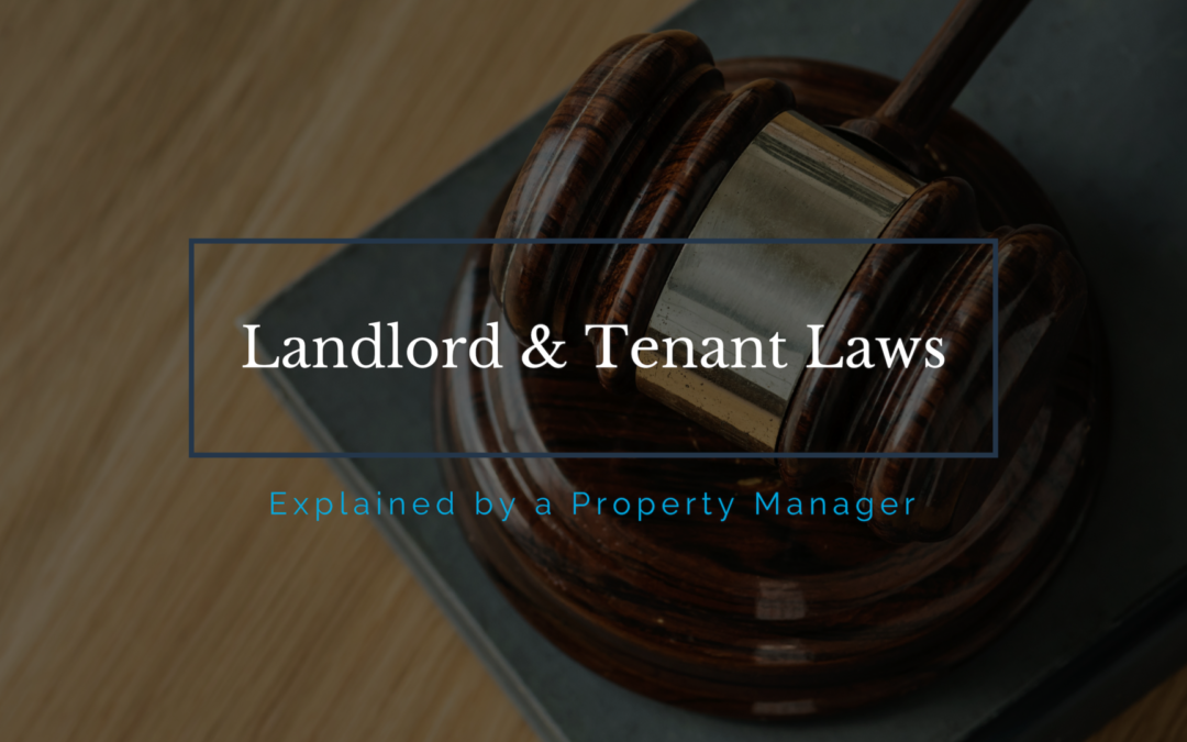 Southern California Landlord & Tenant Laws Explained by a Property Manager