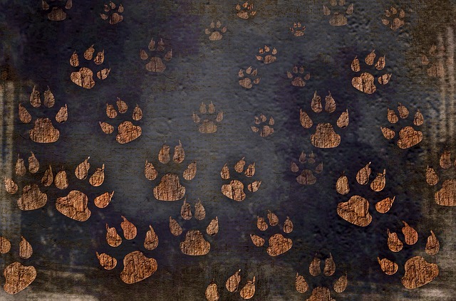 Surprise! Your Tenant Has Some Pit Bulls
